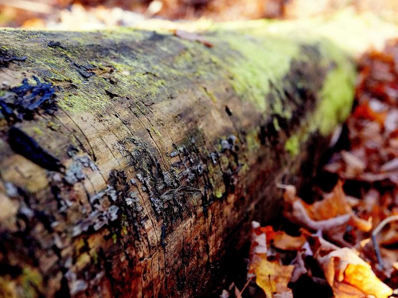 sudoku brain teaser screenshot 2